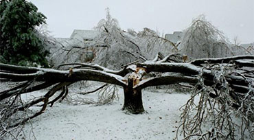 Ice Storms Lynchburg