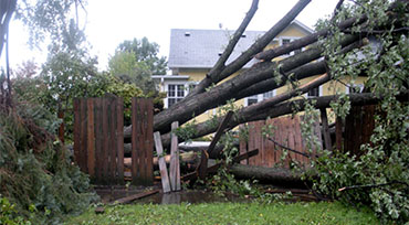 Storm Damage Clean Up