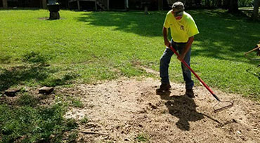 Stump Grinder