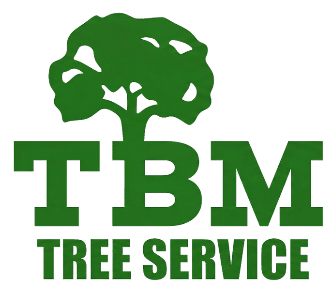 TBM Tree Service Shelbyville, TN (1)